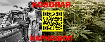 МДПВ Славгород