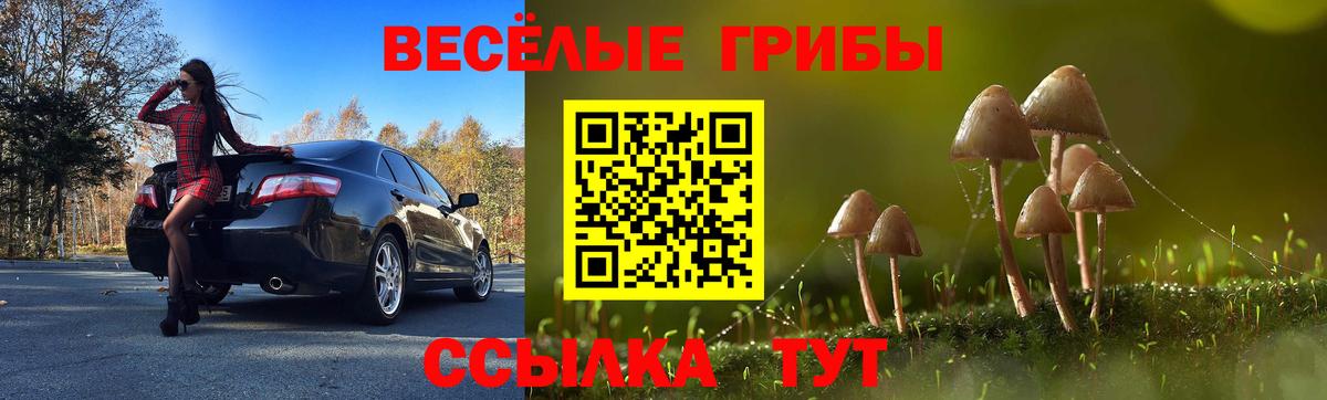 Орск  Псилоцибиновые грибы мухоморы  Вход с VPN  Псилоцибиновые грибы Cubensis 